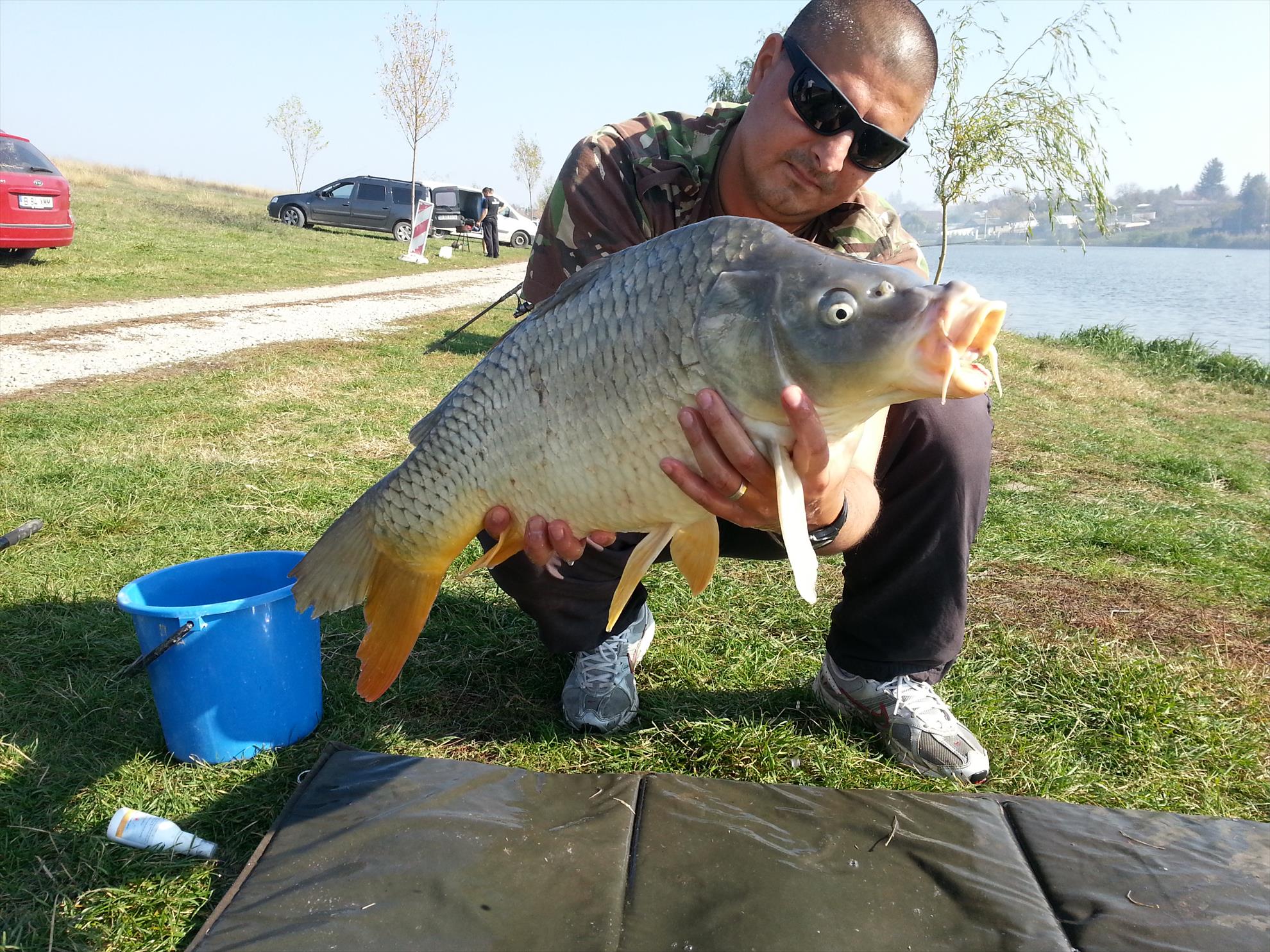 Moara Vlasiei 2 23 - 23 oct. - 20131023133041.jpg